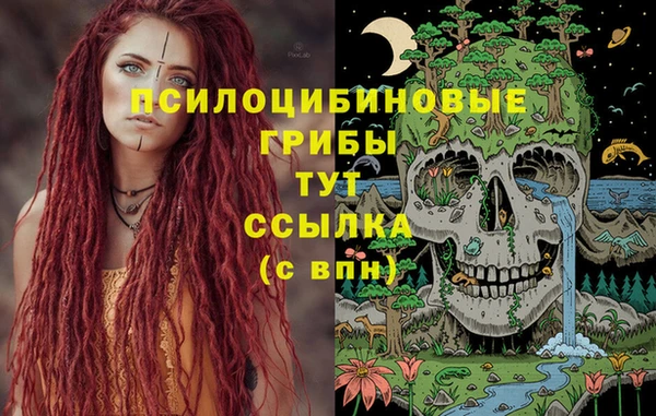 дурь Аркадак